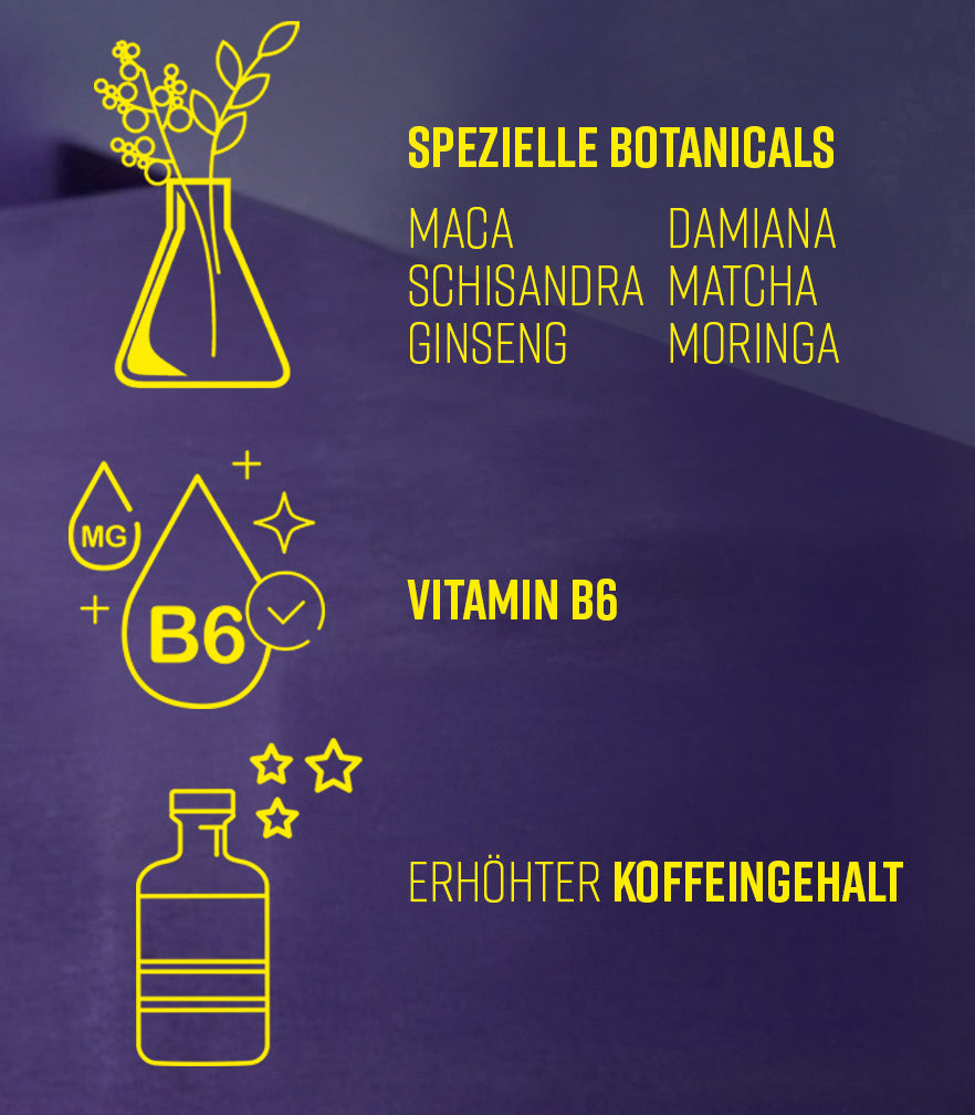 WYLDA 0,5l (alkoholfrei)